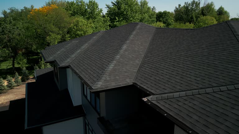 Best Emergency Roof Repair Services  in Alexandria, VA